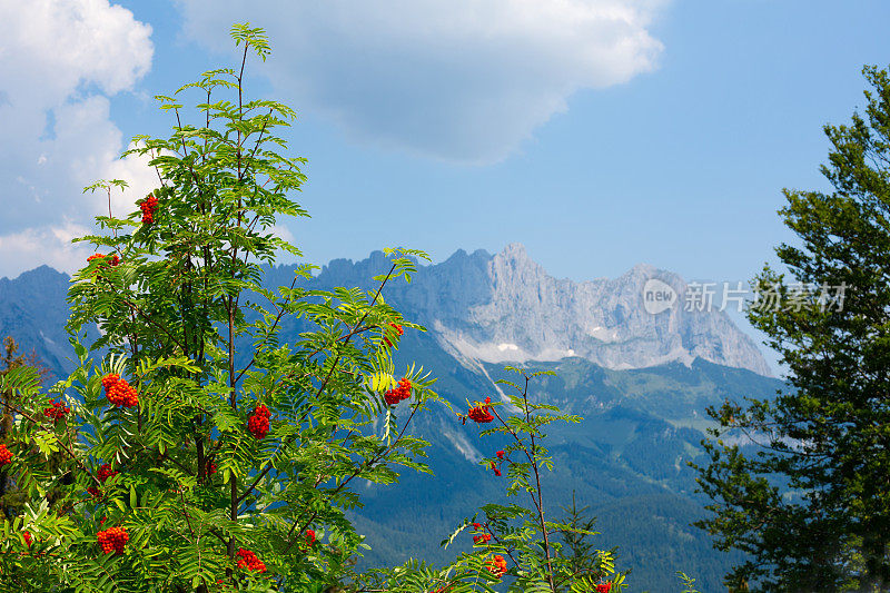 mount . wilder Kaiser, Going, Tyrol，奥地利